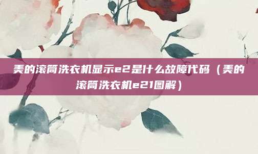 美的滚筒洗衣机显示e2是什么故障代码（美的滚筒洗衣机e21图解）