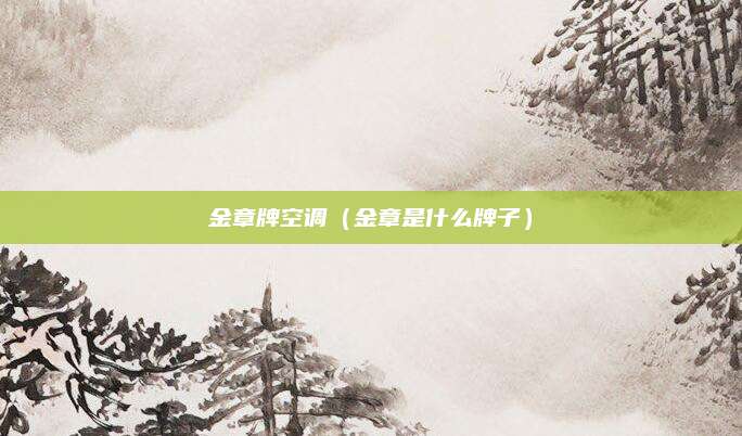 金章牌空调（金章是什么牌子）
