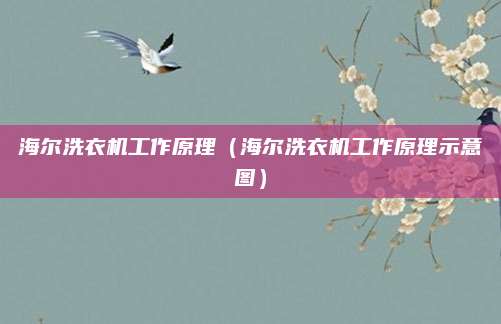 海尔洗衣机工作原理（海尔洗衣机工作原理示意图）