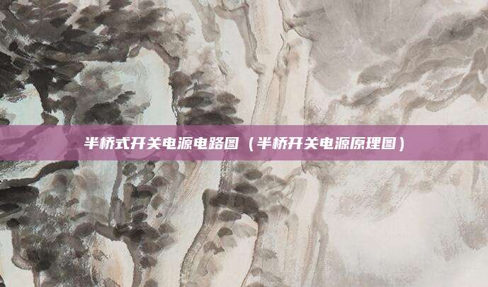 半桥式开关电源电路图(半桥开关电源原理图)