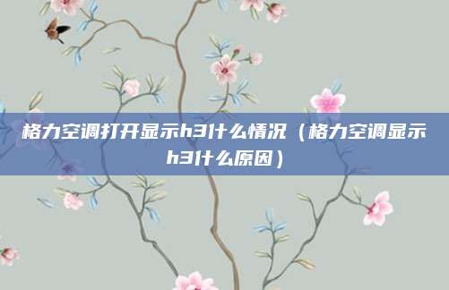 格力空调打开显示h3什么情况(格力空调显示h3什么原因)