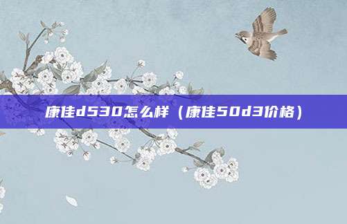康佳d530怎么样(康佳50d3价格)
