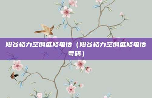 阳谷格力空调维修电话(阳谷格力空调维修电话号码)