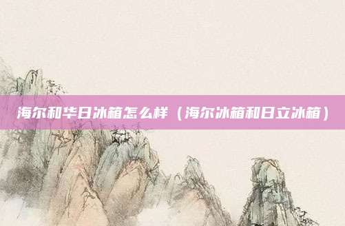 海尔和华日冰箱怎么样(海尔冰箱和日立冰箱)