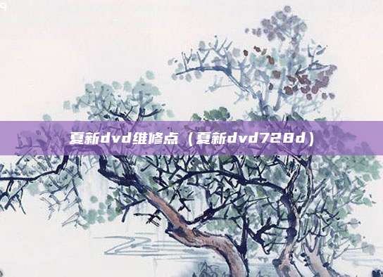 夏新dvd维修点(夏新dvd728d)