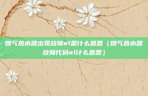 燃气热水器出现故障e1是什么意思(燃气热水器故障代码e1什么意思)