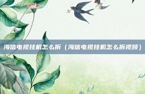 海信电视挂机怎么拆(海信电视挂机怎么拆视频)