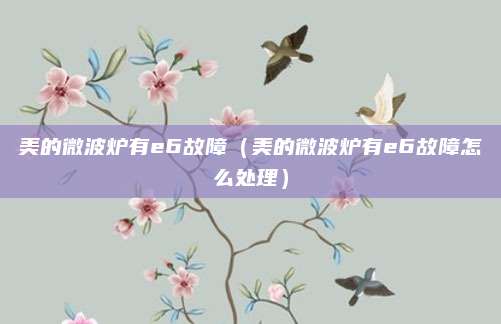 美的微波炉有e6故障(美的微波炉有e6故障怎么处理)