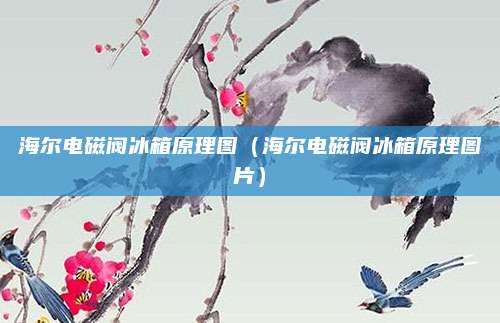 海尔电磁阀冰箱原理图（海尔电磁阀冰箱原理图片）
