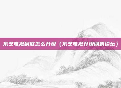 东芝电视到底怎么升级（东芝电视升级刷机论坛）