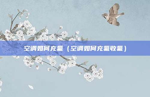 空调如何充氟(空调如何充氟收氟)