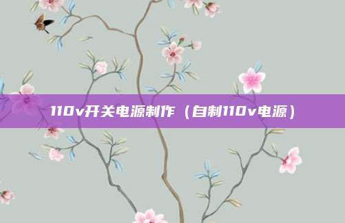 110v开关电源制作(自制110v电源)