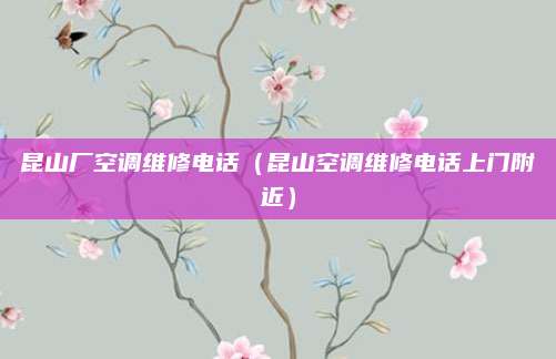 昆山厂空调维修电话(昆山空调维修电话上门附近)