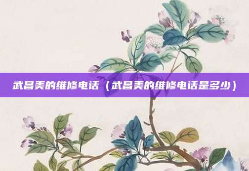 武昌美的维修电话(武昌美的维修电话是多少)