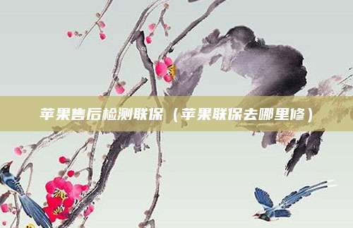 苹果售后检测联保（苹果联保去哪里修）