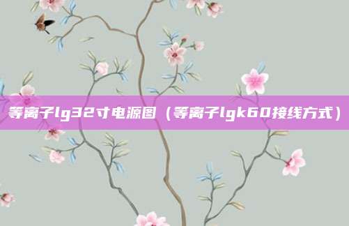 等离子lg32寸电源图（等离子lgk60接线方式）