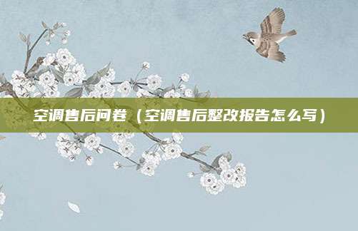 空调售后问卷(空调售后整改报告怎么写)