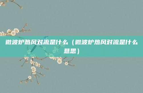 微波炉热风对流是什么(微波炉热风对流是什么意思)