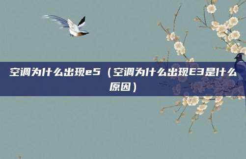 空调为什么出现e5（空调为什么出现E3是什么原因）