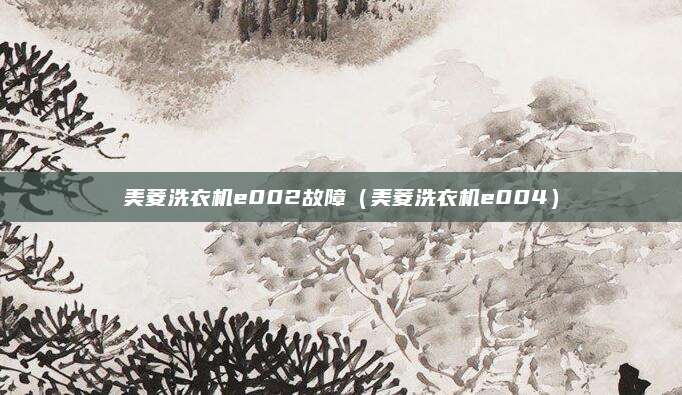 美菱洗衣机e002故障（美菱洗衣机e004）
