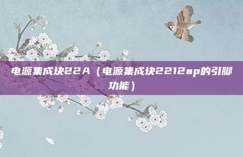电源集成块22A(电源集成块2212ap的引脚功能)