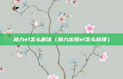 格力e1怎么解决(格力出现e1怎么修理)
