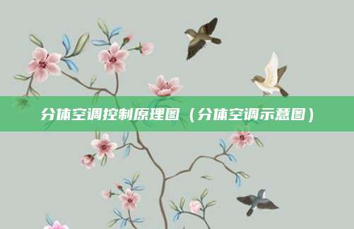 分体空调控制原理图(分体空调示意图)