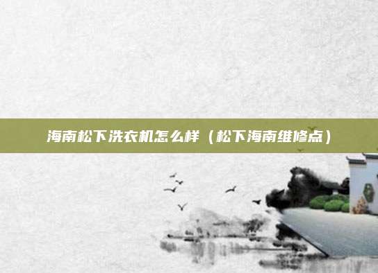 海南松下洗衣机怎么样(松下海南维修点)