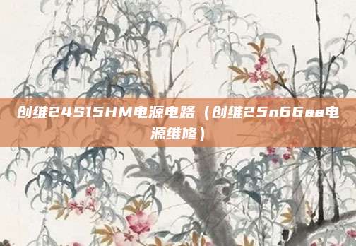 创维24S15HM电源电路（创维25n66aa电源维修）