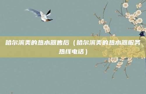 哈尔滨美的热水器售后(哈尔滨美的热水器服务热线电话)
