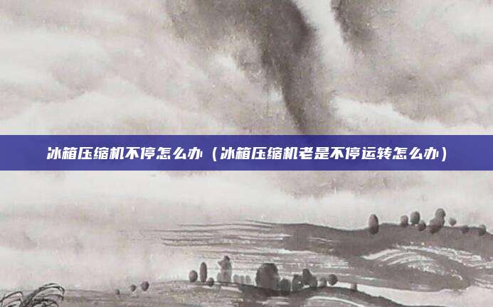 冰箱压缩机不停怎么办(冰箱压缩机老是不停运转怎么办)
