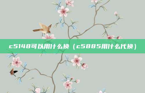 c5148可以用什么换(c5885用什么代换)