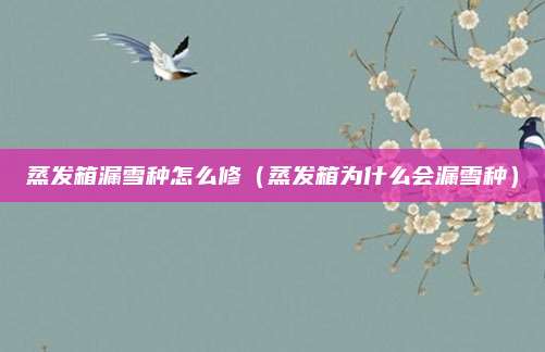 蒸发箱漏雪种怎么修（蒸发箱为什么会漏雪种）