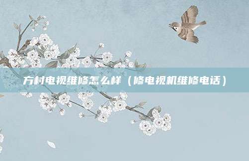方村电视维修怎么样(修电视机维修电话)