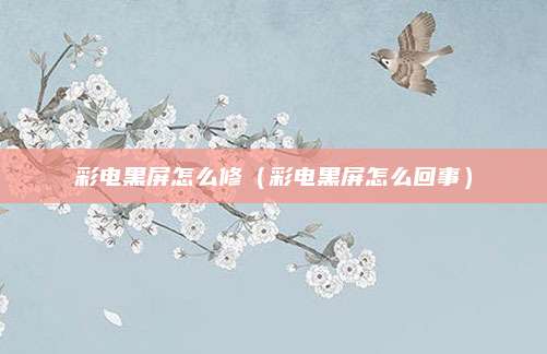 彩电黑屏怎么修(彩电黑屏怎么回事)
