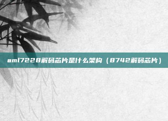 aml7228解码芯片是什么架构(8742解码芯片)