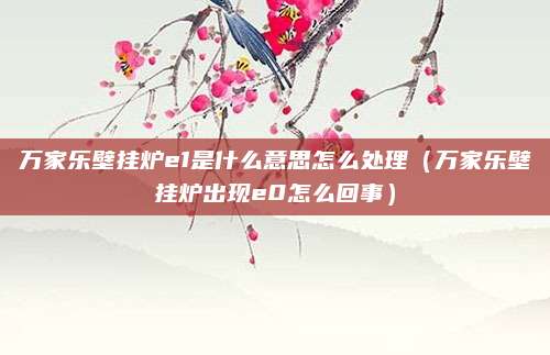 万家乐壁挂炉e1是什么意思怎么处理（万家乐壁挂炉出现e0怎么回事）