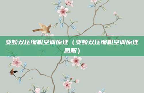 变频双压缩机空调原理(变频双压缩机空调原理图解)