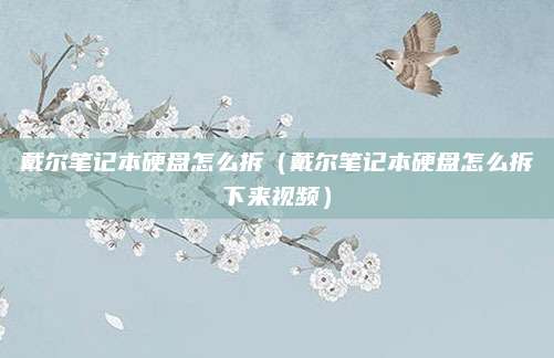 戴尔笔记本硬盘怎么拆(戴尔笔记本硬盘怎么拆下来视频)