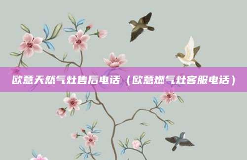 欧意天然气灶售后电话（欧意燃气灶客服电话）