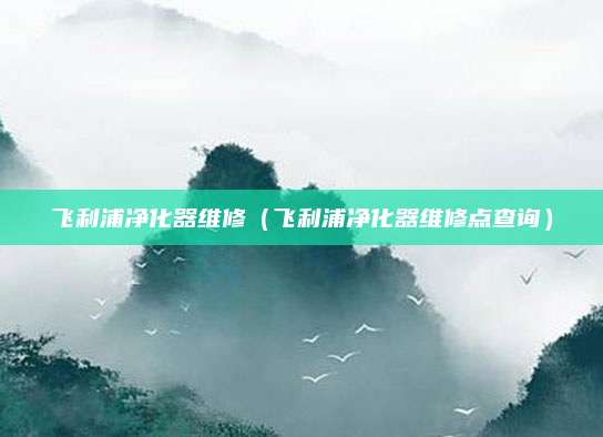 飞利浦净化器维修（飞利浦净化器维修点查询）