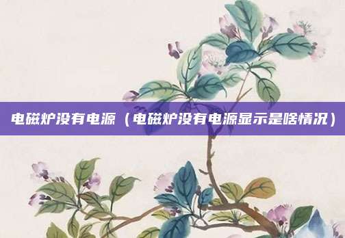电磁炉没有电源（电磁炉没有电源显示是啥情况）