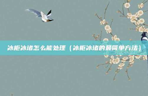 冰柜冰堵怎么能处理(冰柜冰堵的最简单方法)