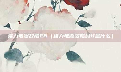 格力电器故障E6（格力电器故障码f1是什么）