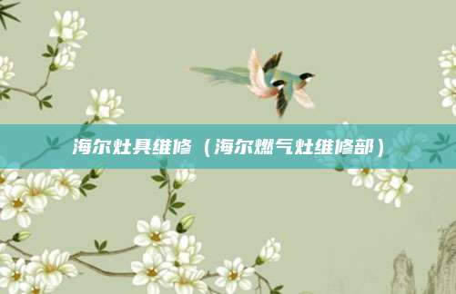 海尔灶具维修(海尔燃气灶维修部)