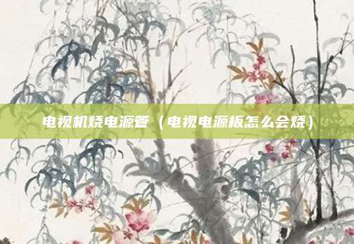 电视机烧电源管（电视电源板怎么会烧）