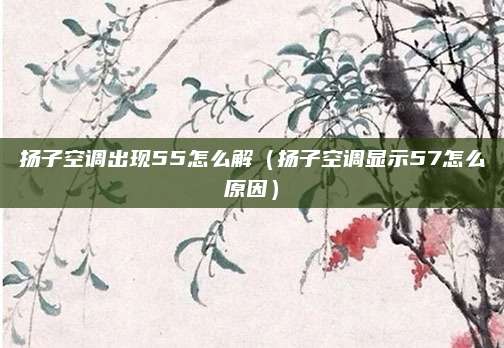 扬子空调出现55怎么解(扬子空调显示57怎么原因)