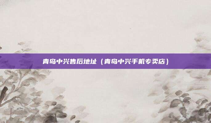 青岛中兴售后地址(青岛中兴手机专卖店)