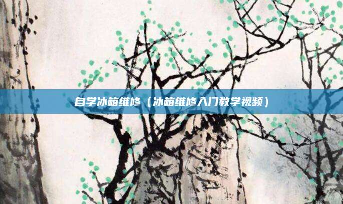 自学冰箱维修（冰箱维修入门教学视频）