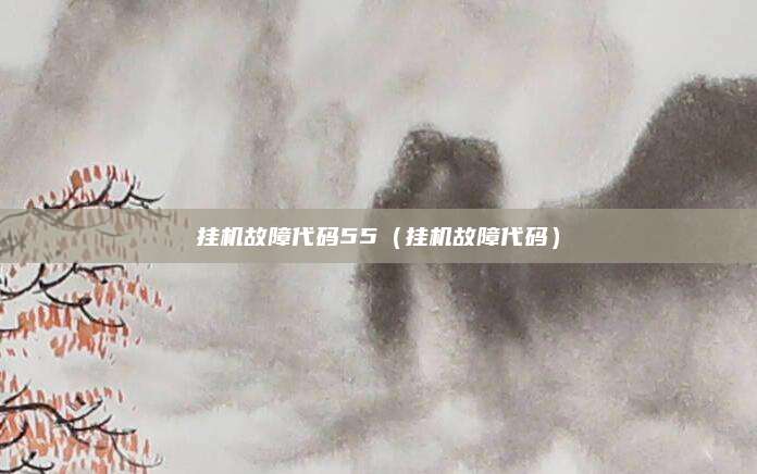 挂机故障代码55（挂机故障代码）